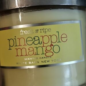 Pineapple mango single wick candle